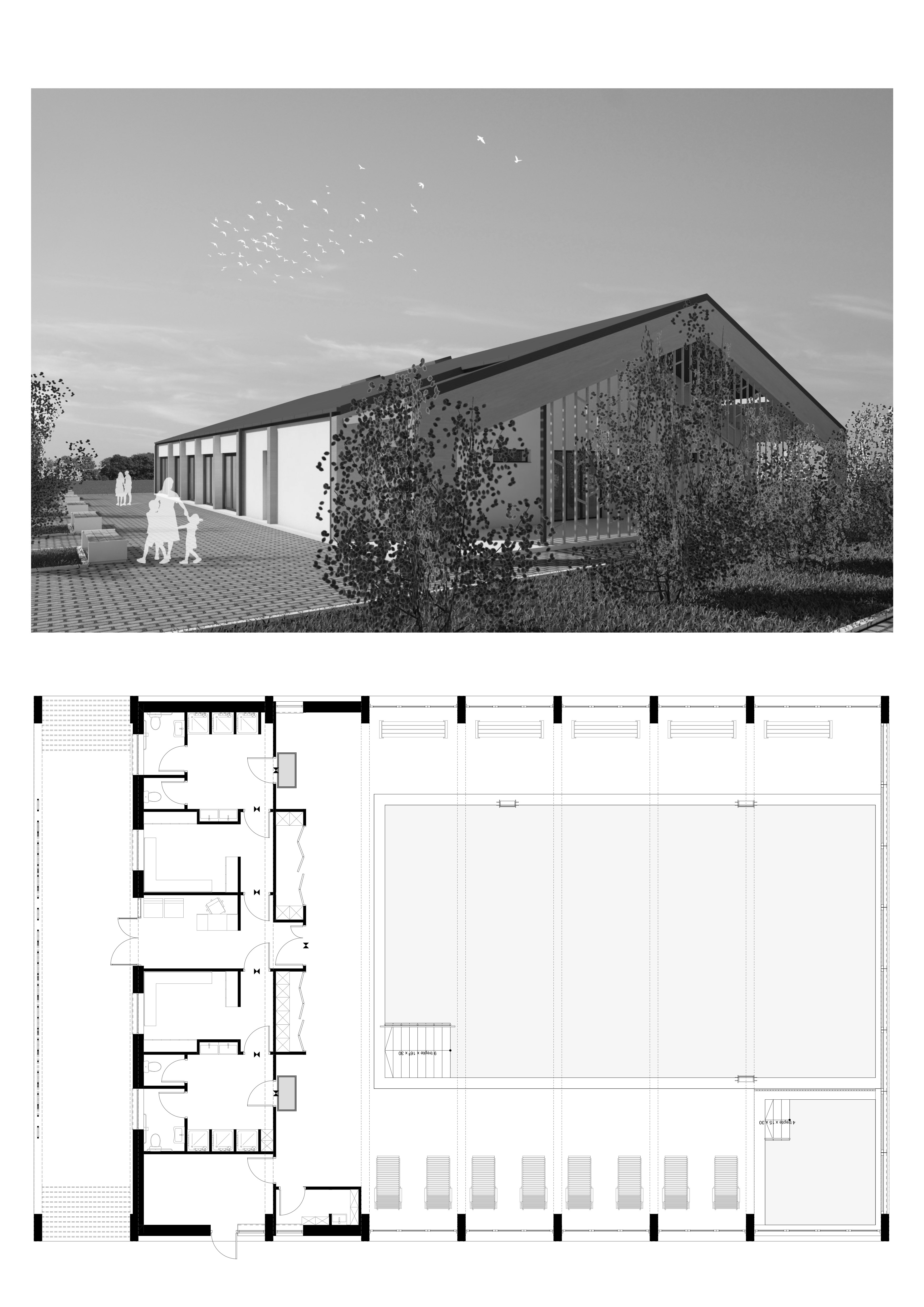 P14_bw